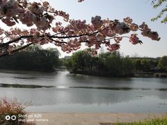 -新江湾城公园