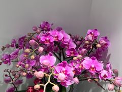 -LANN I 蘭 SPA(陆家嘴中心店)