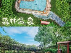 -佛冈森波拉度假区