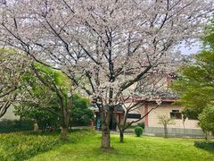 -浙江省博物馆(孤山馆区)