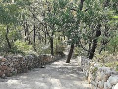 -鲁山国家森林公园