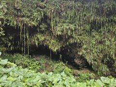 -海口火山口国家地质公园