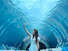 -涛·海底餐厅·美人鱼·自助餐·海底隧道(三亚海棠湾洲际度假酒店)