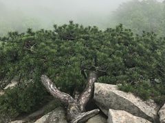 -罗田薄刀峰风景区