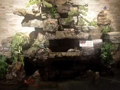 -燕郊烧鸽子(广安路店)
