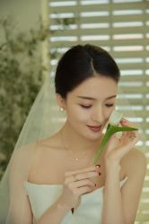 点击看大图 -Chic Bridal 熙可婚纱