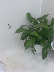 -悟空祛痘·诺奖技术专业店