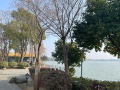 -逸林轩中餐厅(中信泰富朱家角锦江酒店)