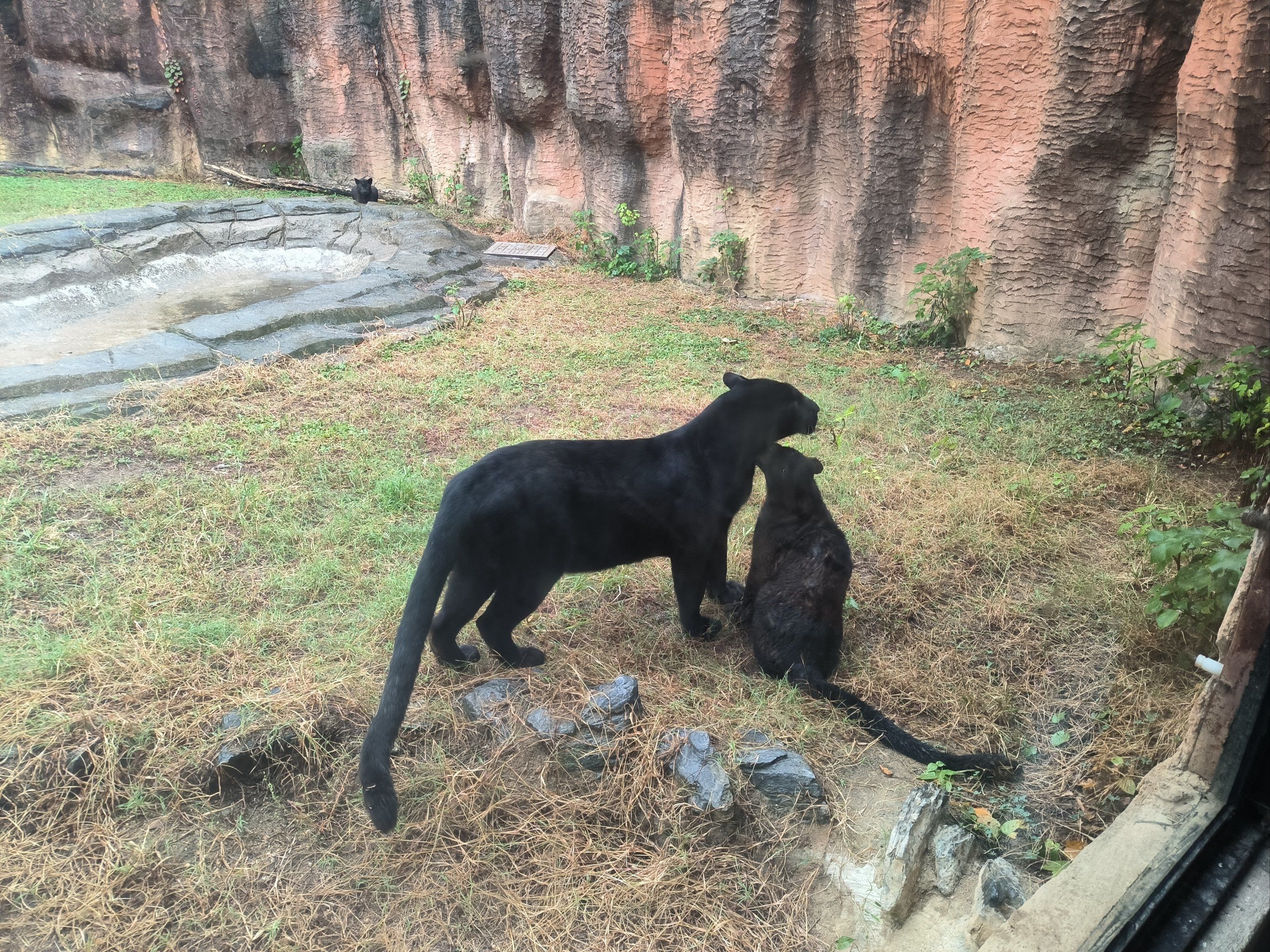 杭州野生动物世界