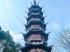 -上海佘山国家森林公园西佘山园