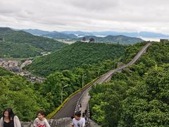 -黄贤森林公园