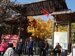 -遵化市禅林寺古银杏风景园