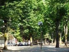 -井之头恩赐公园