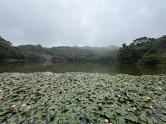 -广州市石门国家森林公园
