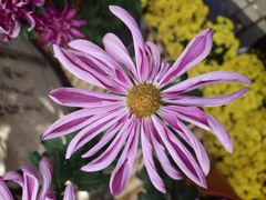 -共青国家森林公园-售票处