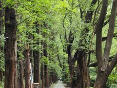 -同里国家湿地公园
