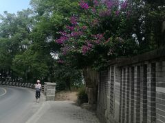 -南山植物园
