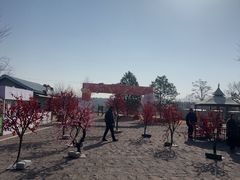 -江苏三台山国家森林公园