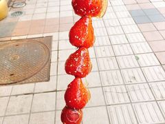 -和禄德冰糖葫芦