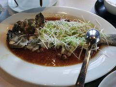 -三号黄浦会Canton Table