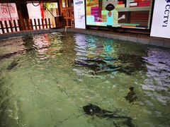 -胖姐渔村(中源大道店)
