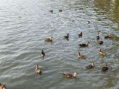 -鼓楼(西湖风景名胜区)