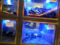 -沱江鱼府(丽江店)