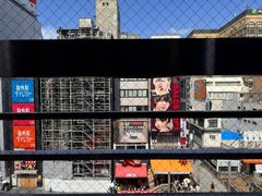 -蟹道乐(道顿堀本店)