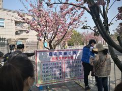 -嘉定紫藤园