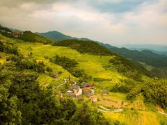 -紫鹊界梯田景区
