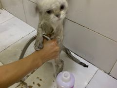 -沐沐家宠物(成寿寺店)