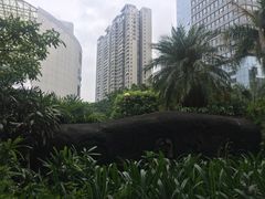 -南山图书馆(常兴路店)