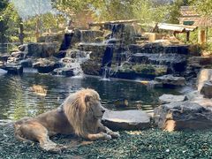 -北京野生动物园