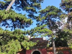 -北陵公园