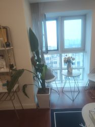 -演员的秘密·皮肤管理