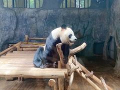 -深圳野生动物园