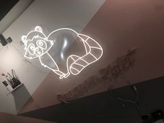 -浣熊柯尔鸭土拨鼠·电玩咖
