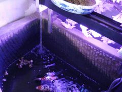 -愉肴麻辣香锅(中山路店)