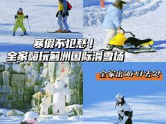 -蓟洲国际滑雪场