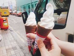 -富豪雪糕车流动点(尖沙咀店)
