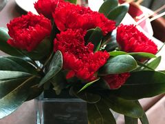 -Mammamia意大利餐厅(阳春巷店)