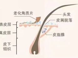 点击看大图 -张昊造型