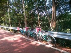 android_upload_pic-大屏嶂森林公园