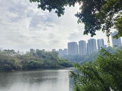 -重庆彩云湖湿地公园