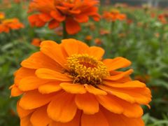 -新安江山水画廊风景区