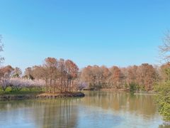 -上海海湾国家森林公园
