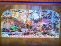 -秦皇岛新澳海底世界