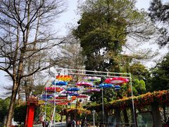 -珠海圆明新园