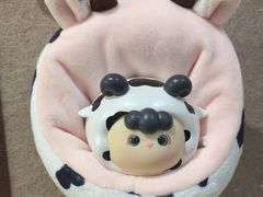 -猫遇摄影工作室