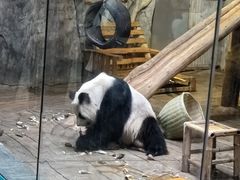 -深圳野生动物园